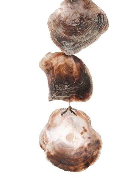 Handgefertigte Muschelkette