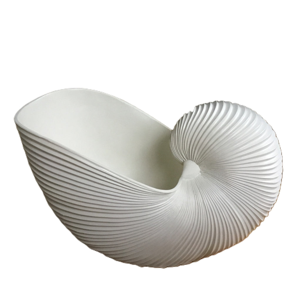 Muschel Schale