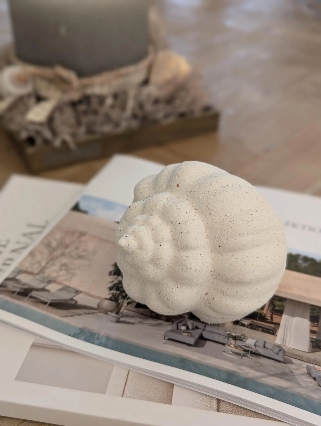 Muschel Schnecke aus Keramik