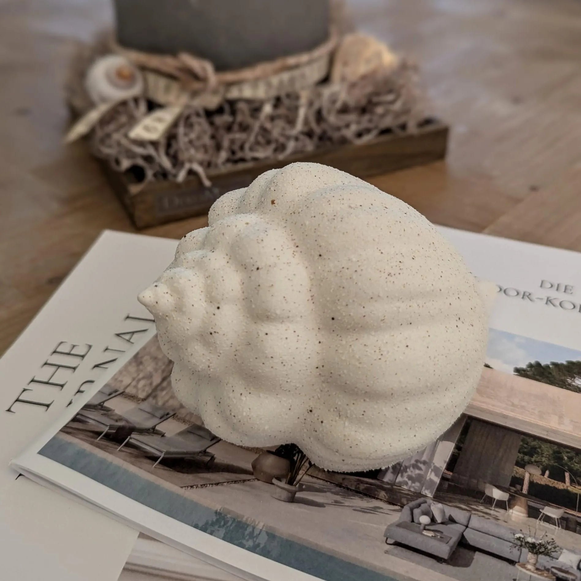 Muschel Schnecke aus Keramik