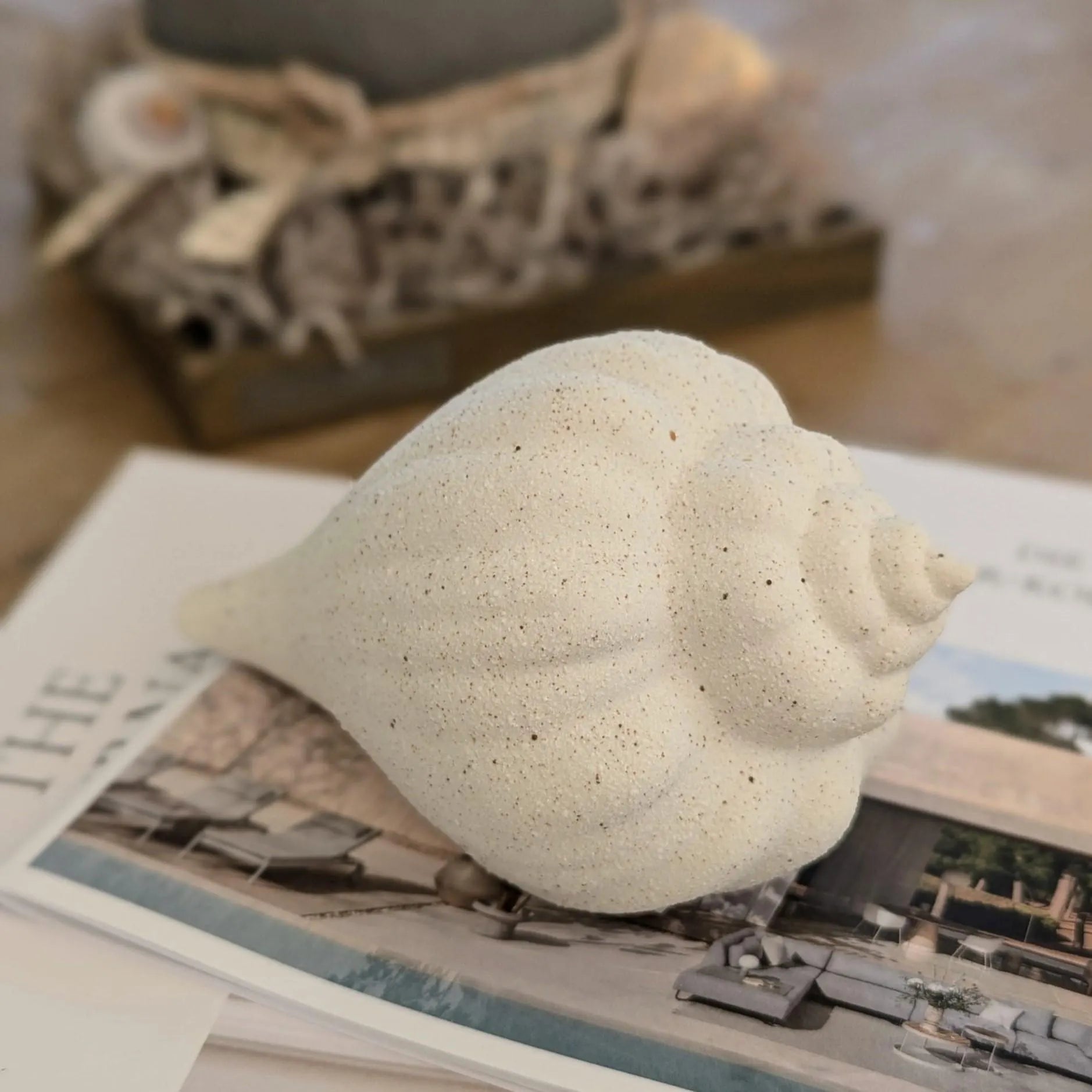 Muschel Schnecke aus Keramik