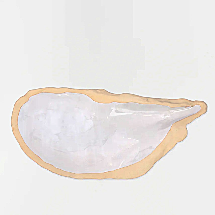 Muschel Teller Platte