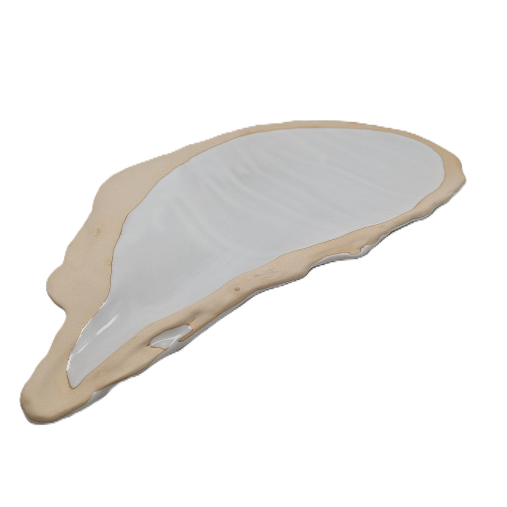 Muschel Teller Platte