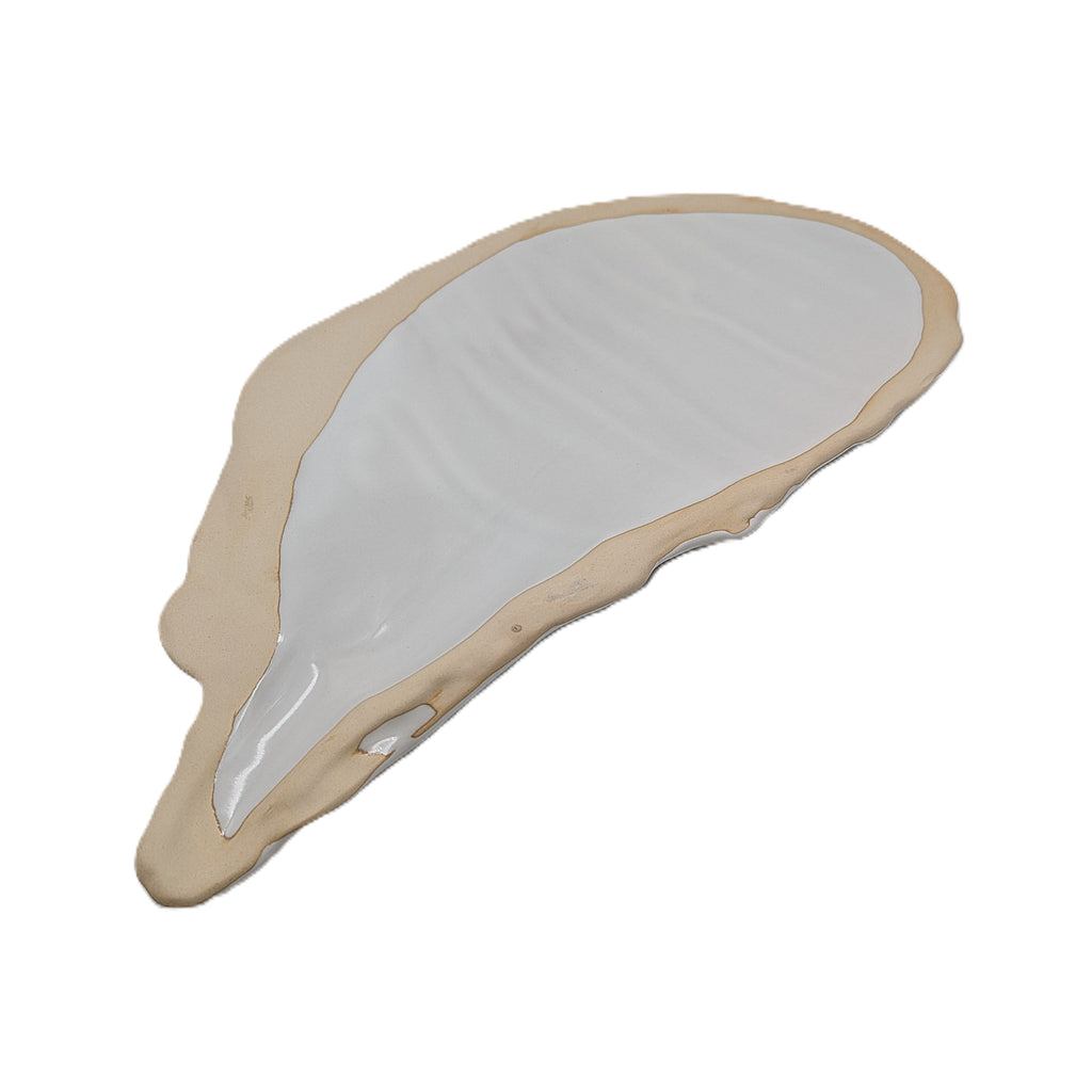 Muschel Teller Platte