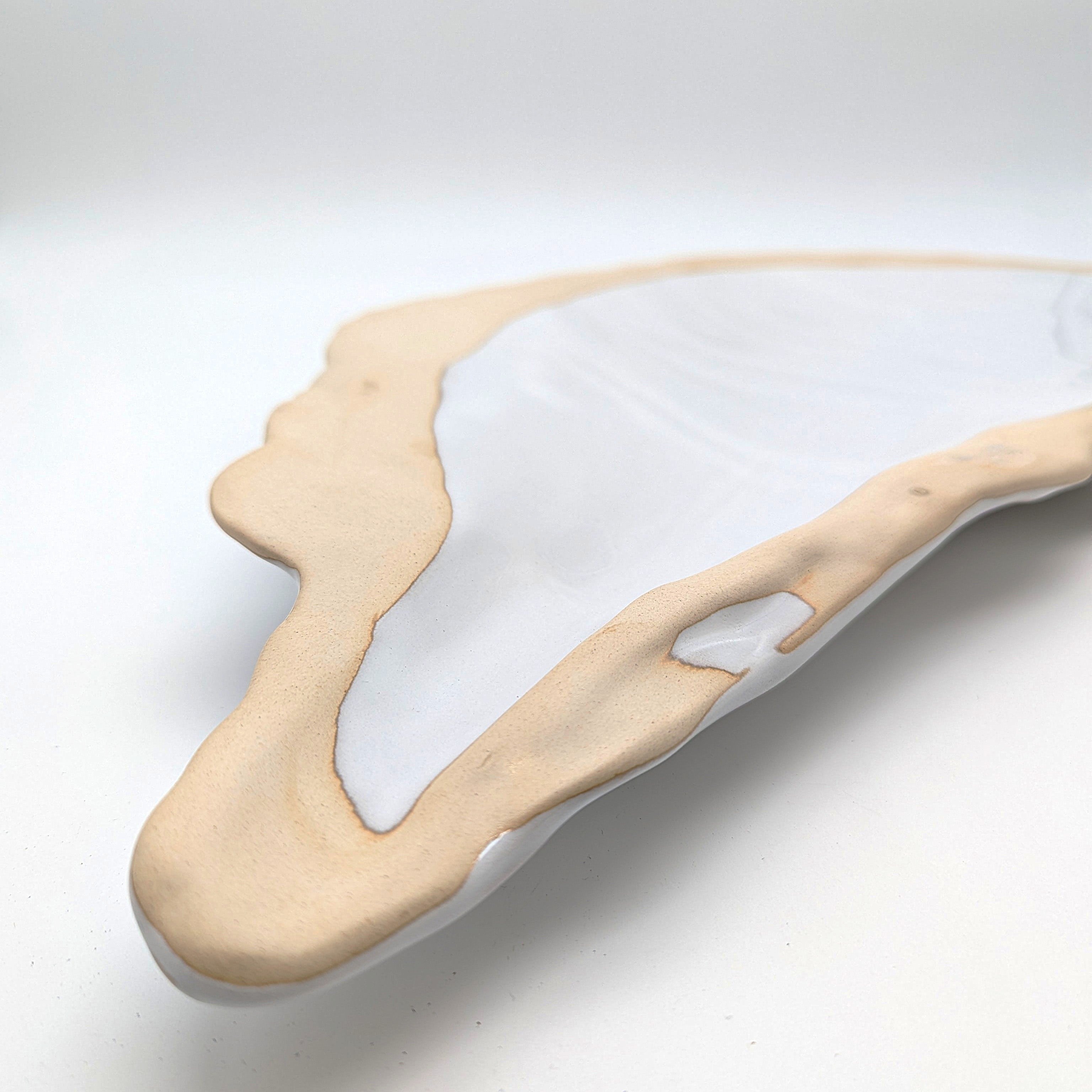 Muschel Teller Platte