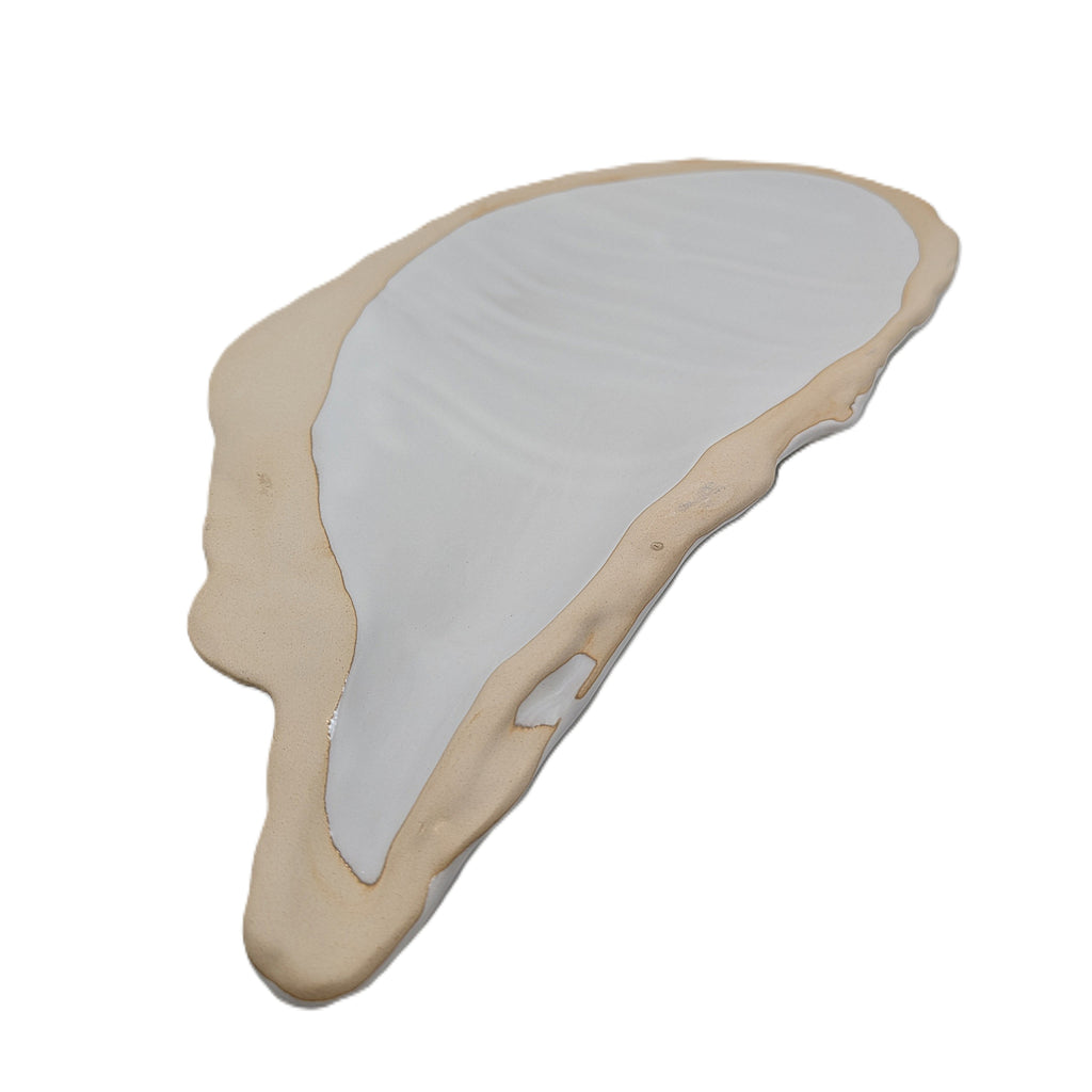 Muschel Teller Platte