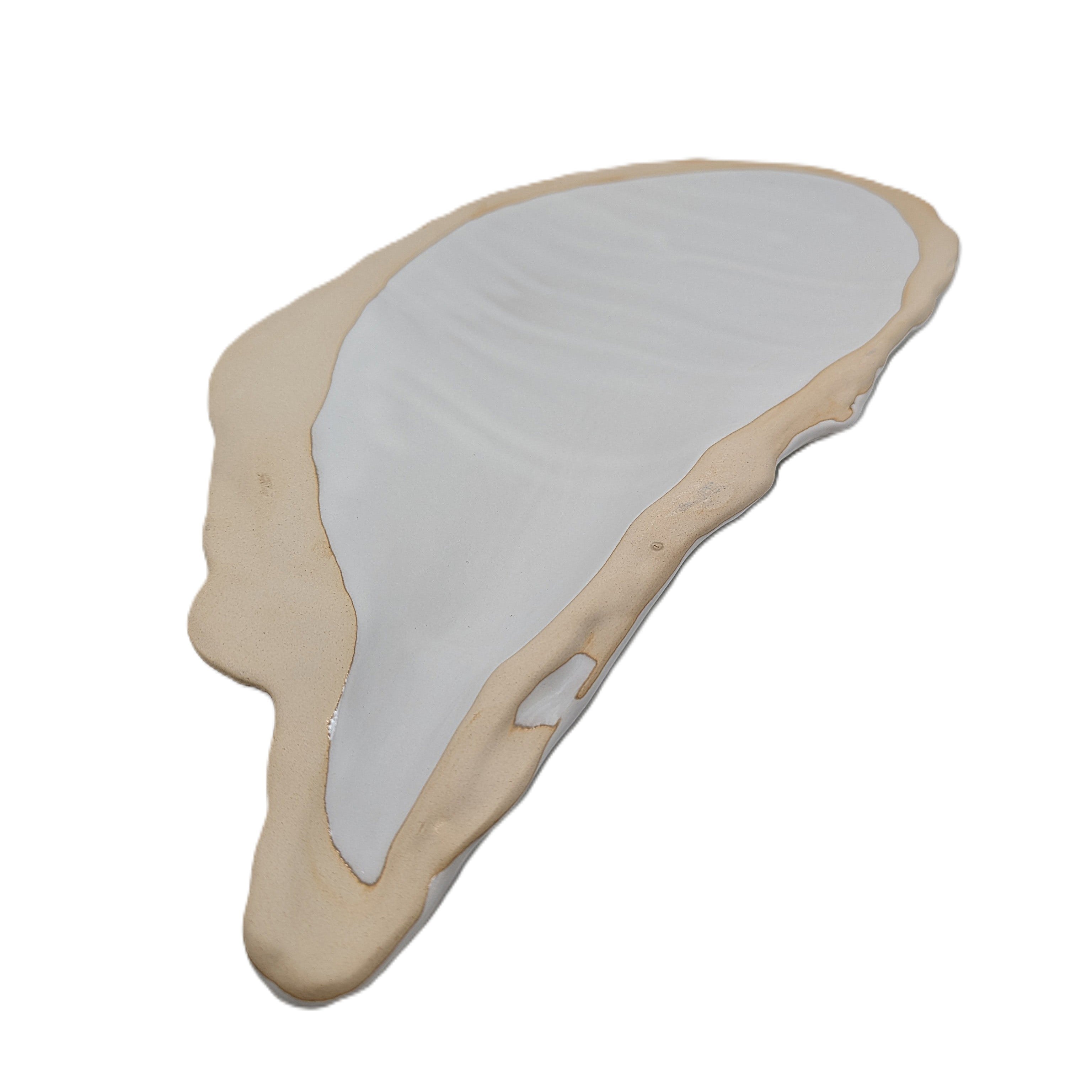 Muschel Teller Platte