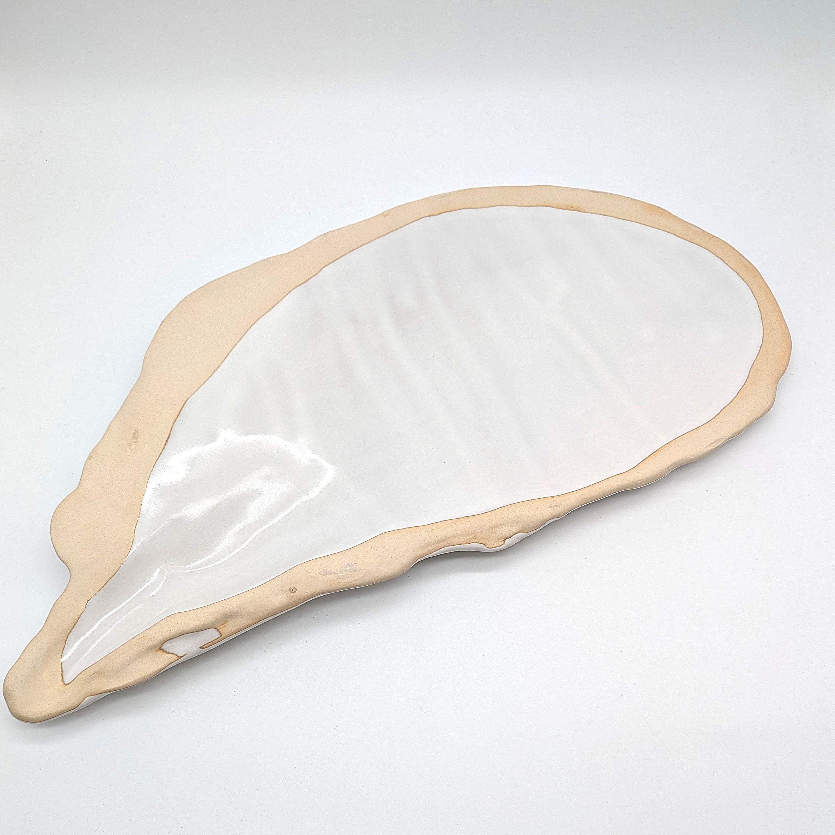 Muschel Teller Platte