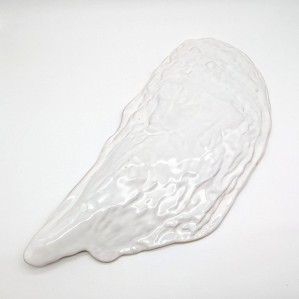 Muschel Teller Platte