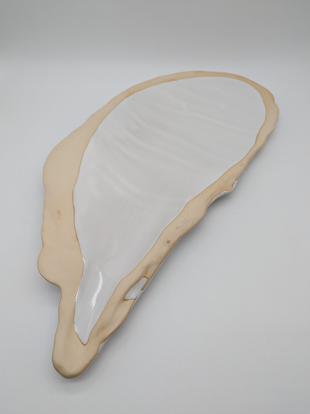 Muschel Teller Platte