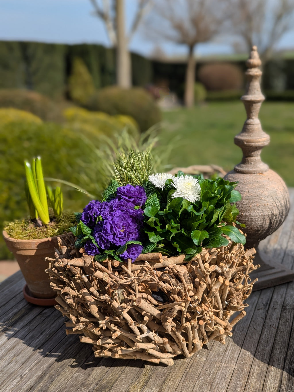 Pflanzkorb Schale Natur