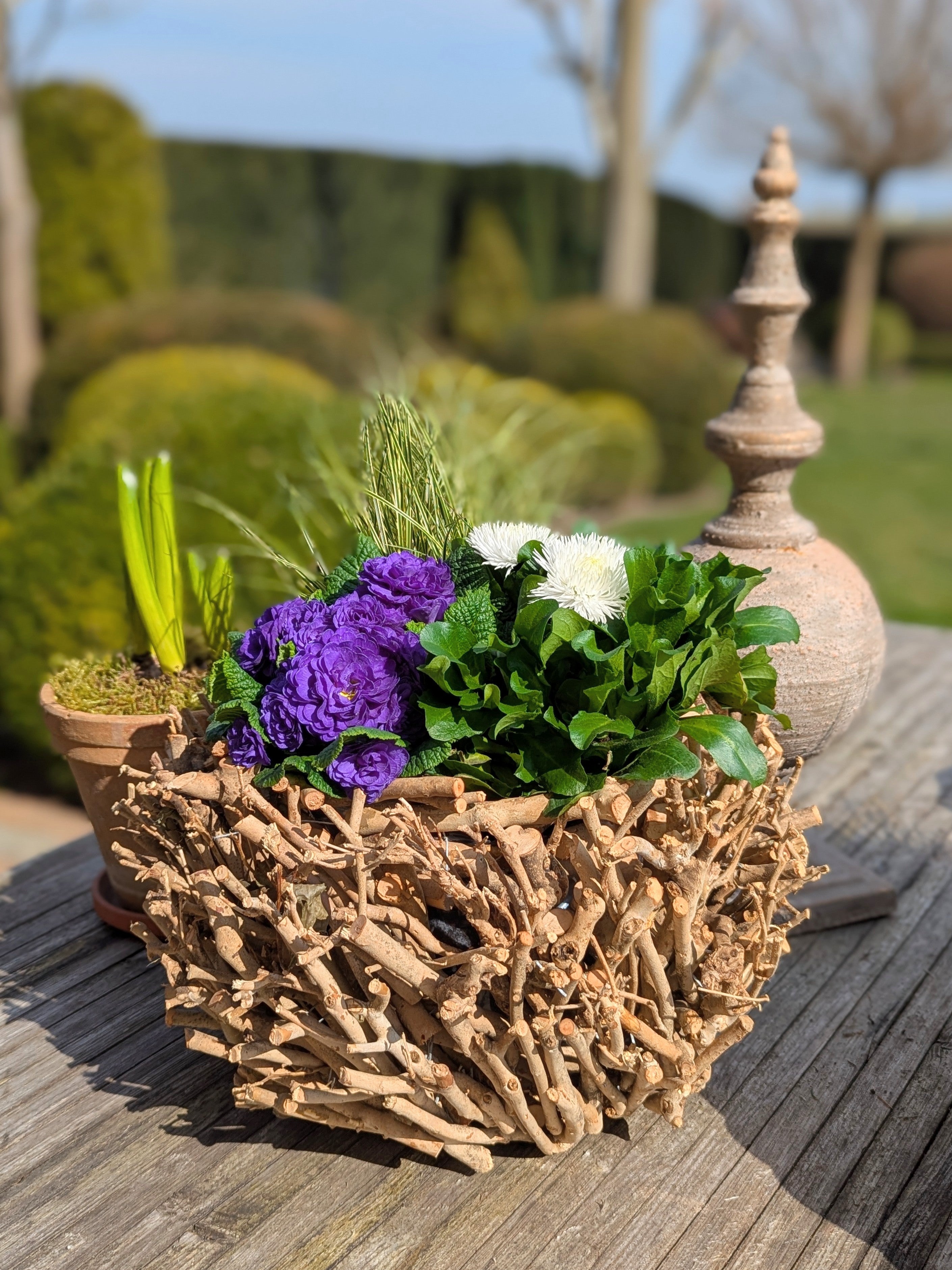 Pflanzkorb Schale Natur