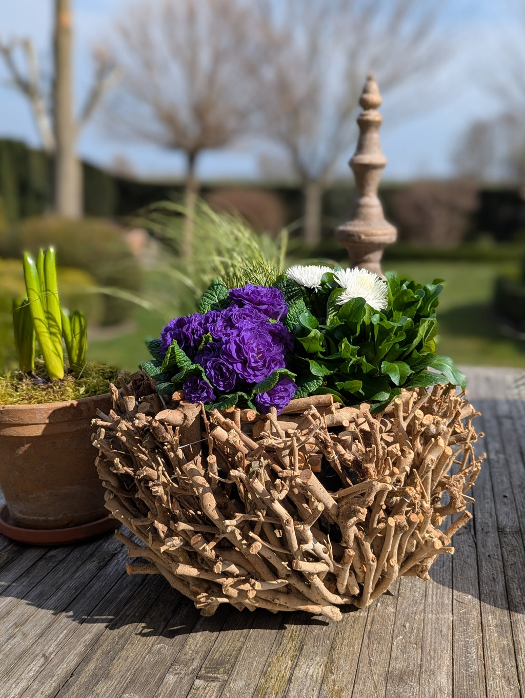 Pflanzkorb Schale Natur