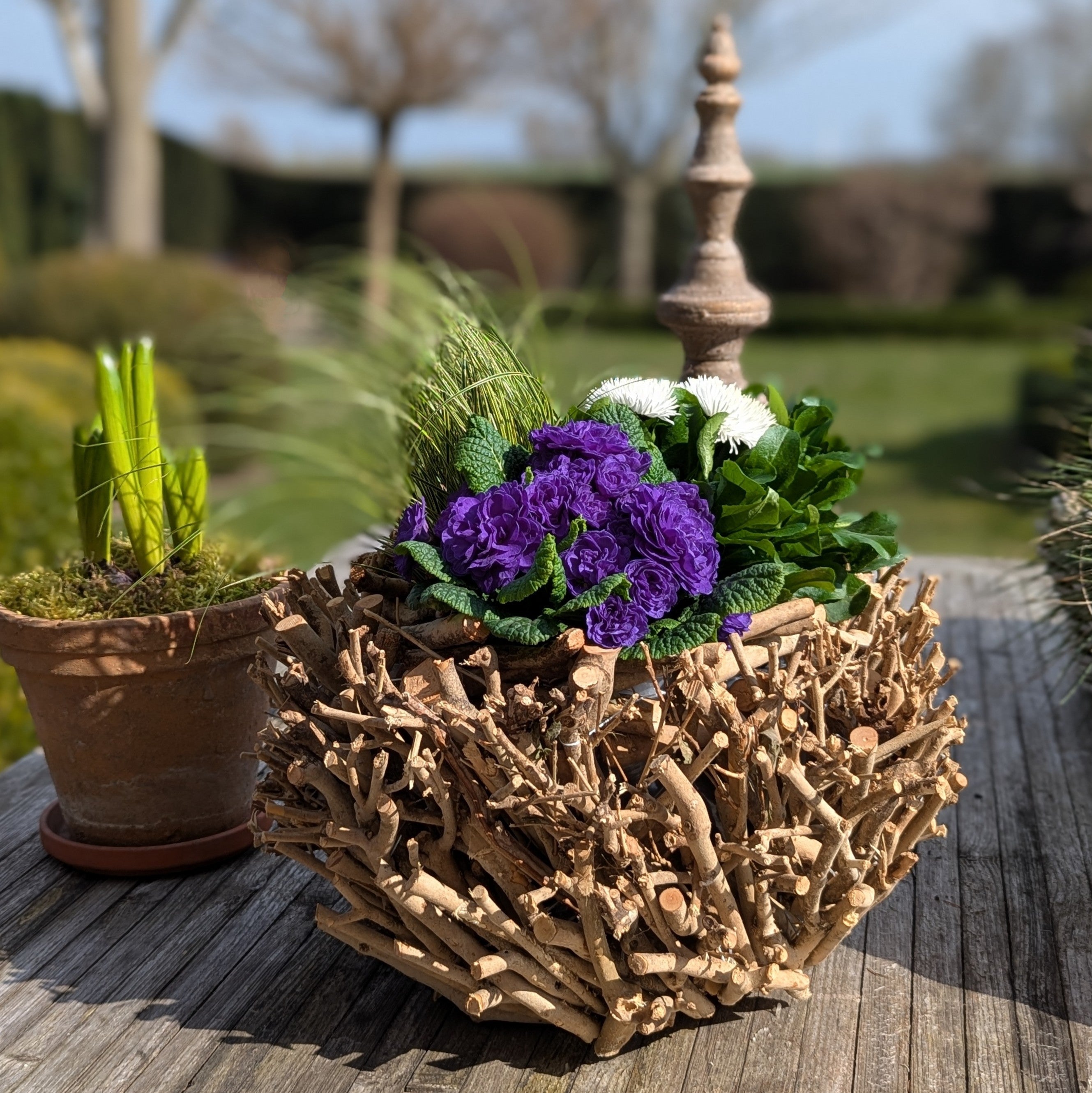 Pflanzkorb Schale Natur