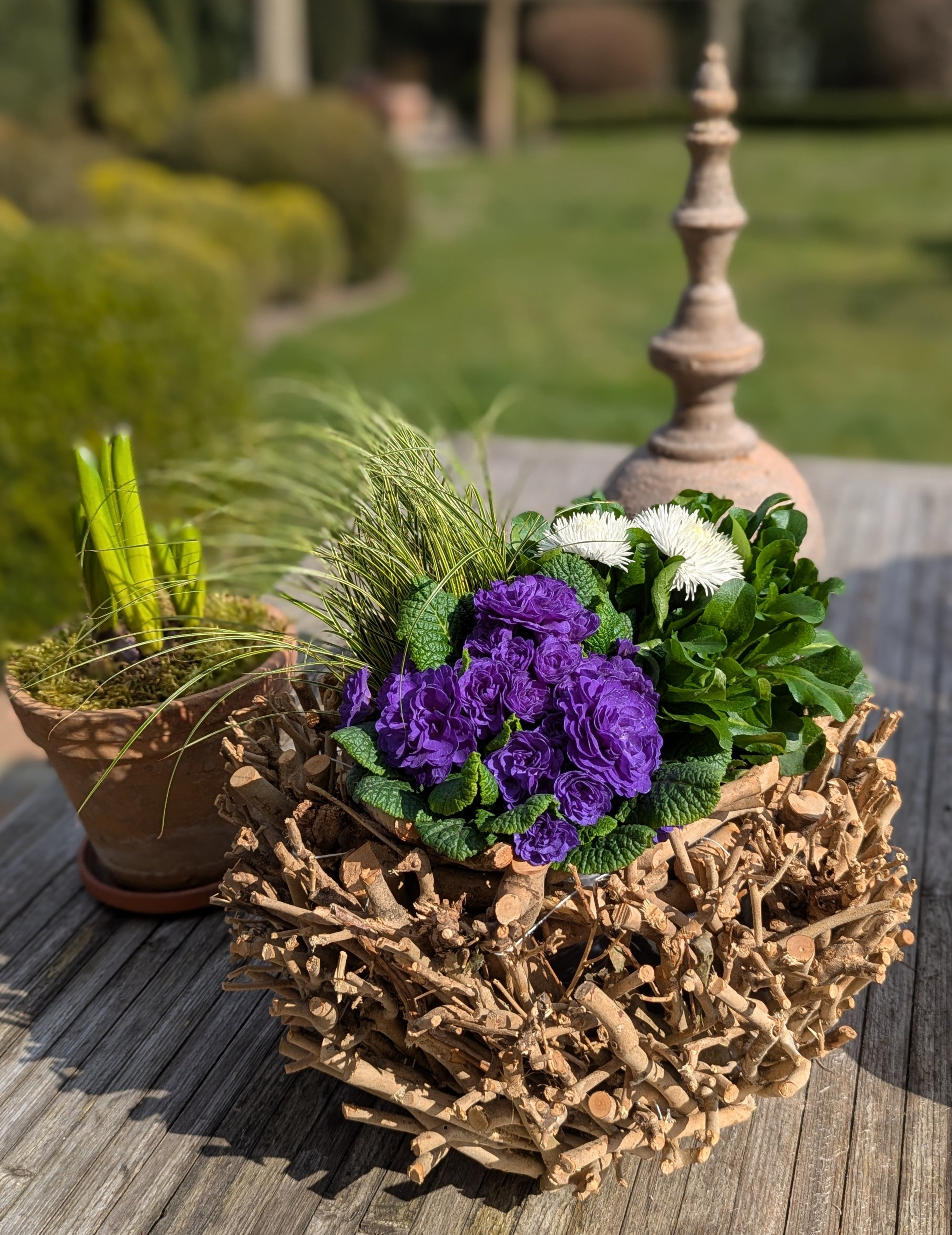 Pflanzkorb Schale Natur