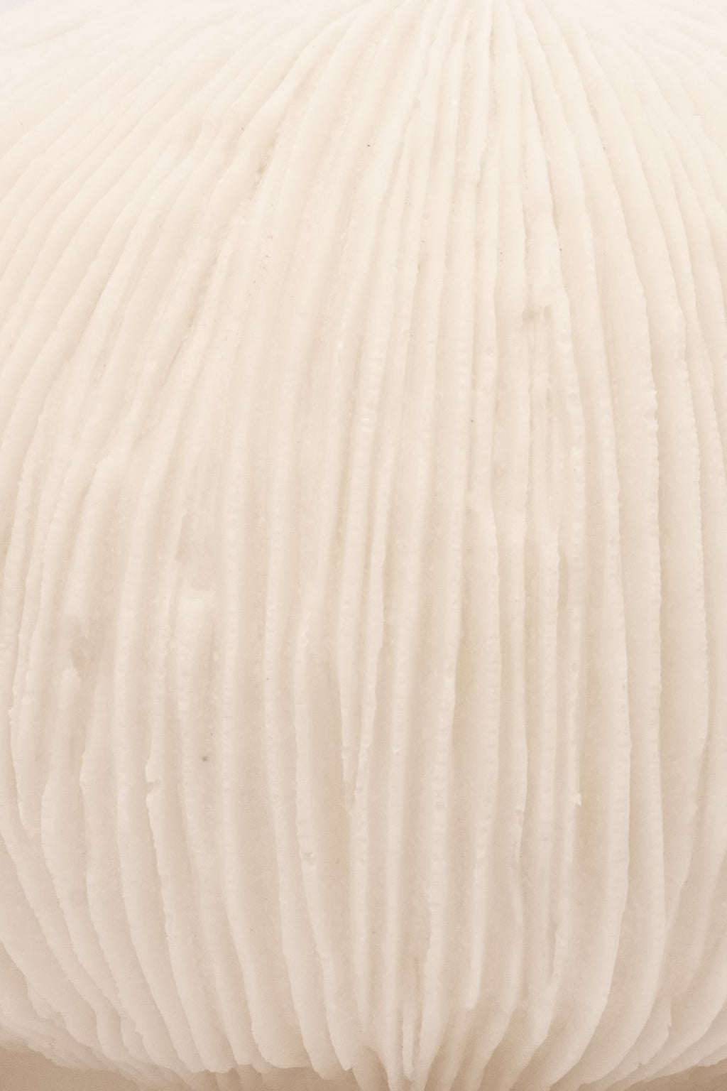 Tischlampe Coral aus verstärktem Kunstharz