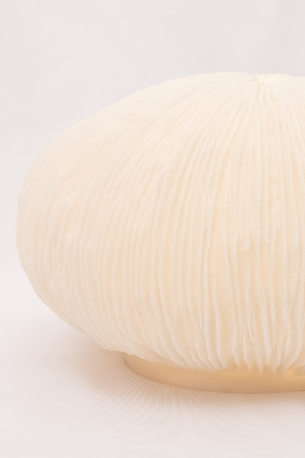 Tischlampe Coral aus verstärktem Kunstharz