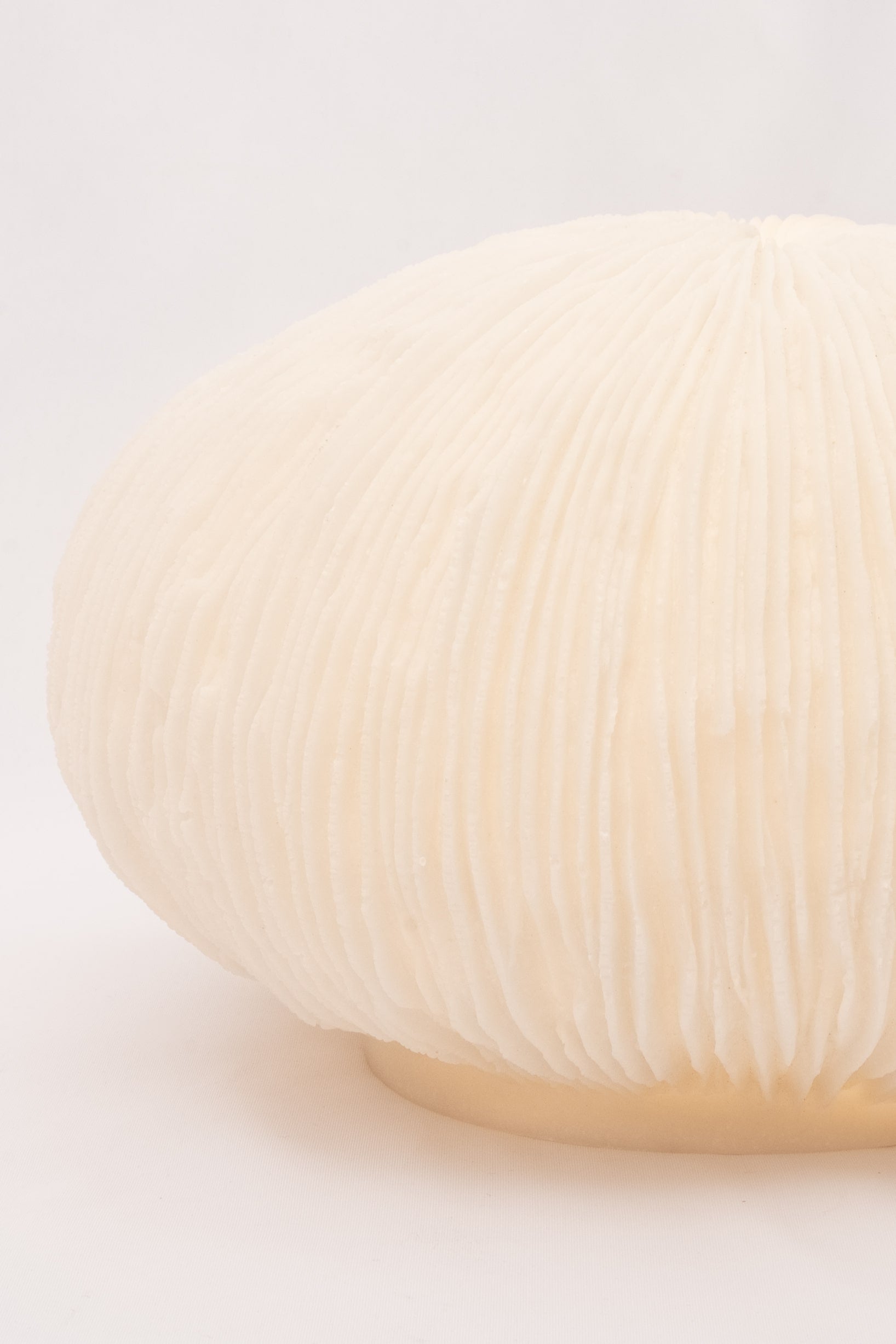 Tischlampe Coral aus verstärktem Kunstharz