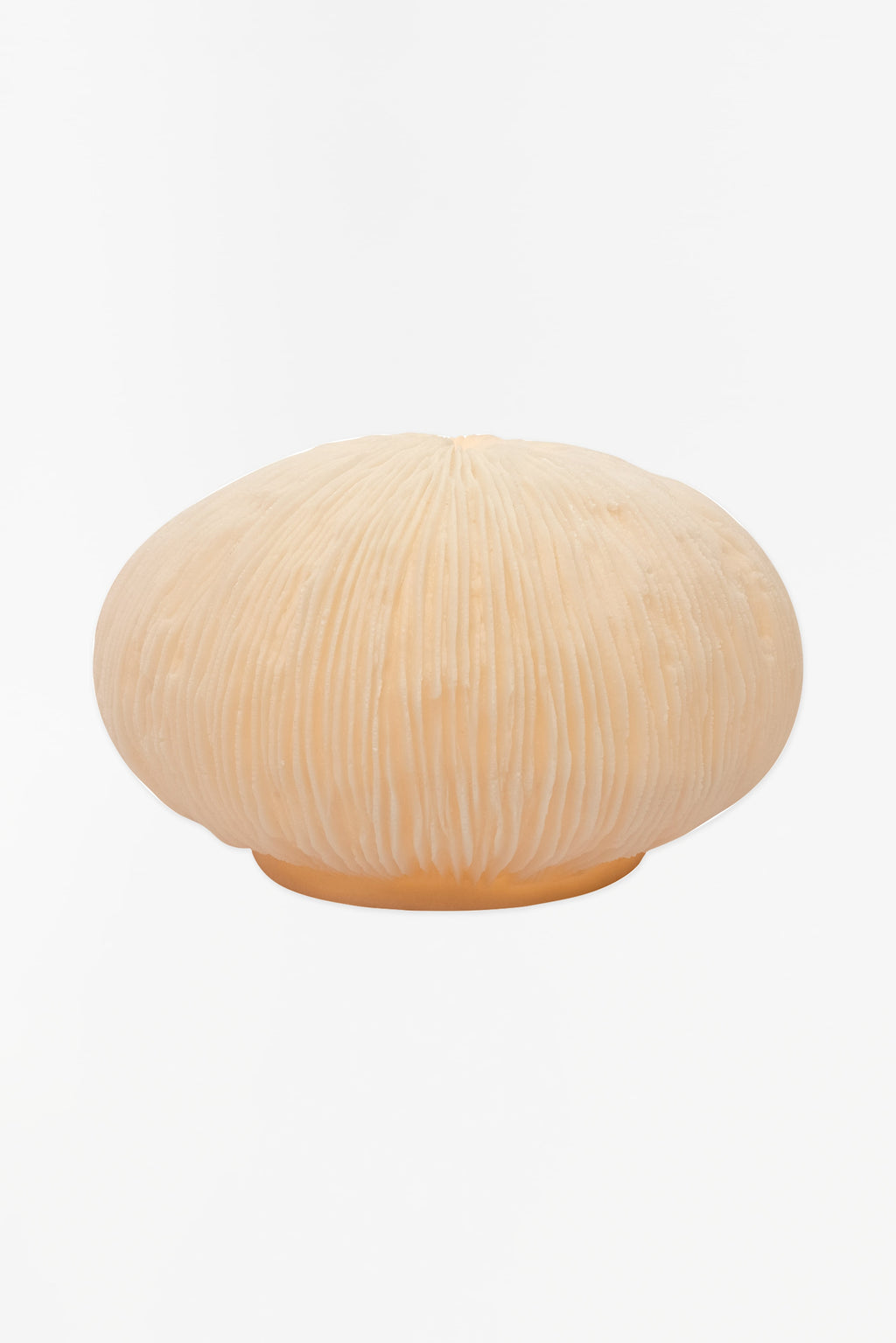 Tischlampe Coral aus verstärktem Kunstharz