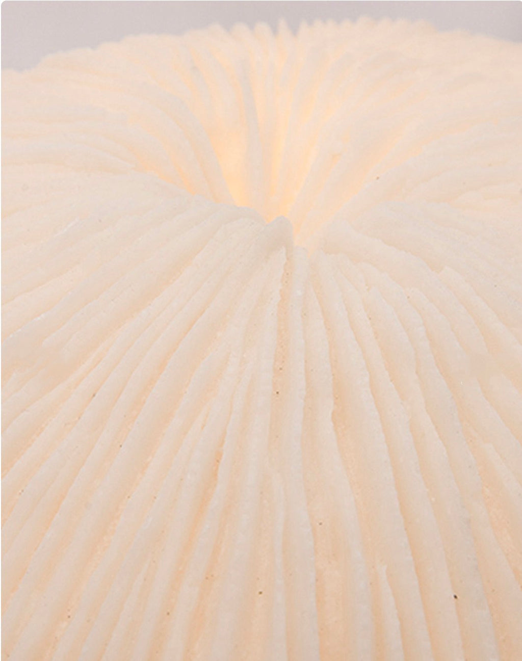 Tischlampe Coral aus verstärktem Kunstharz