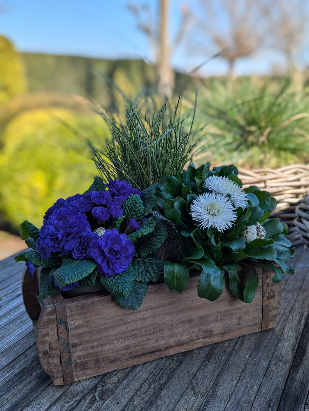 Ziegel Backform - dekorative Holz Box