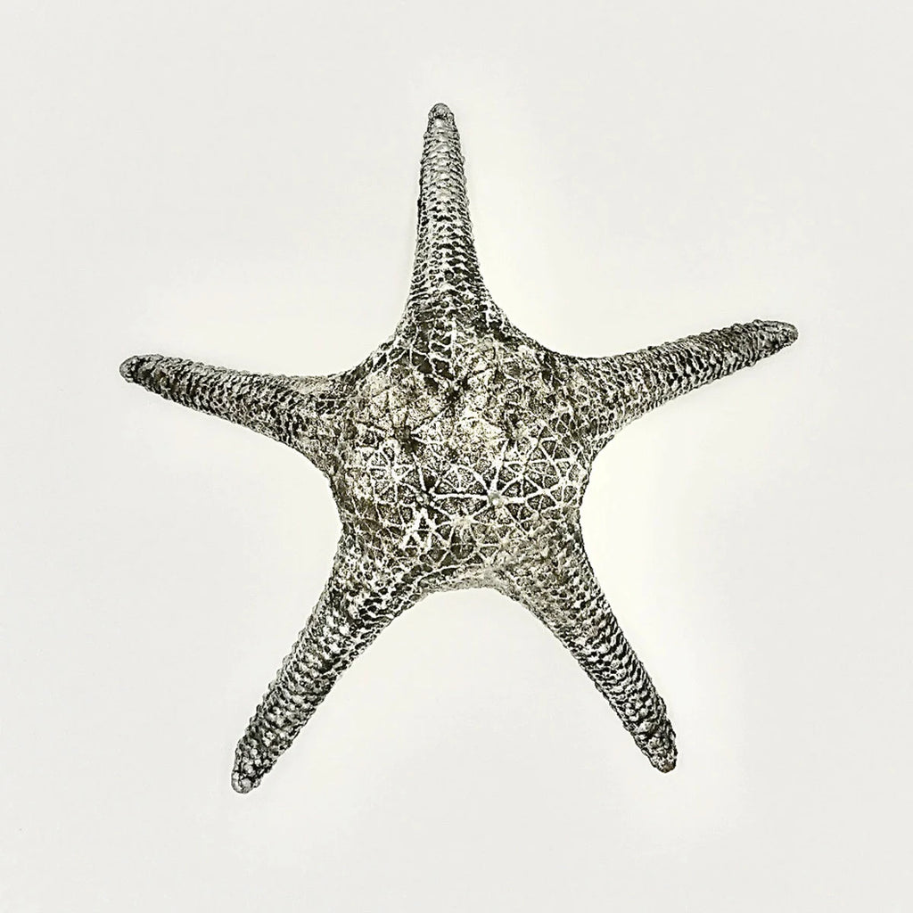 Seestern Deko Grau Silber