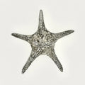 Seestern Deko Grau Silber