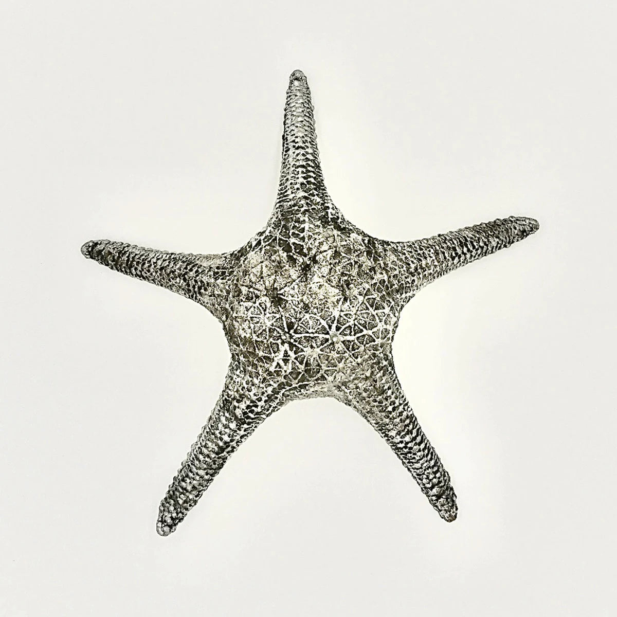 Seestern Deko Grau Silber