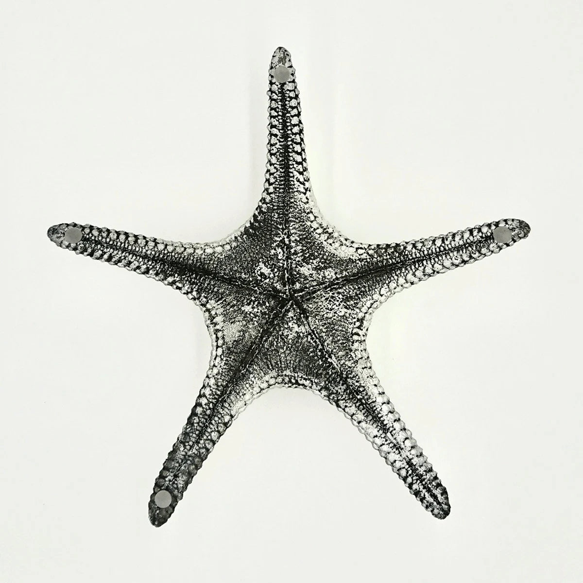 Seestern Deko Grau Silber