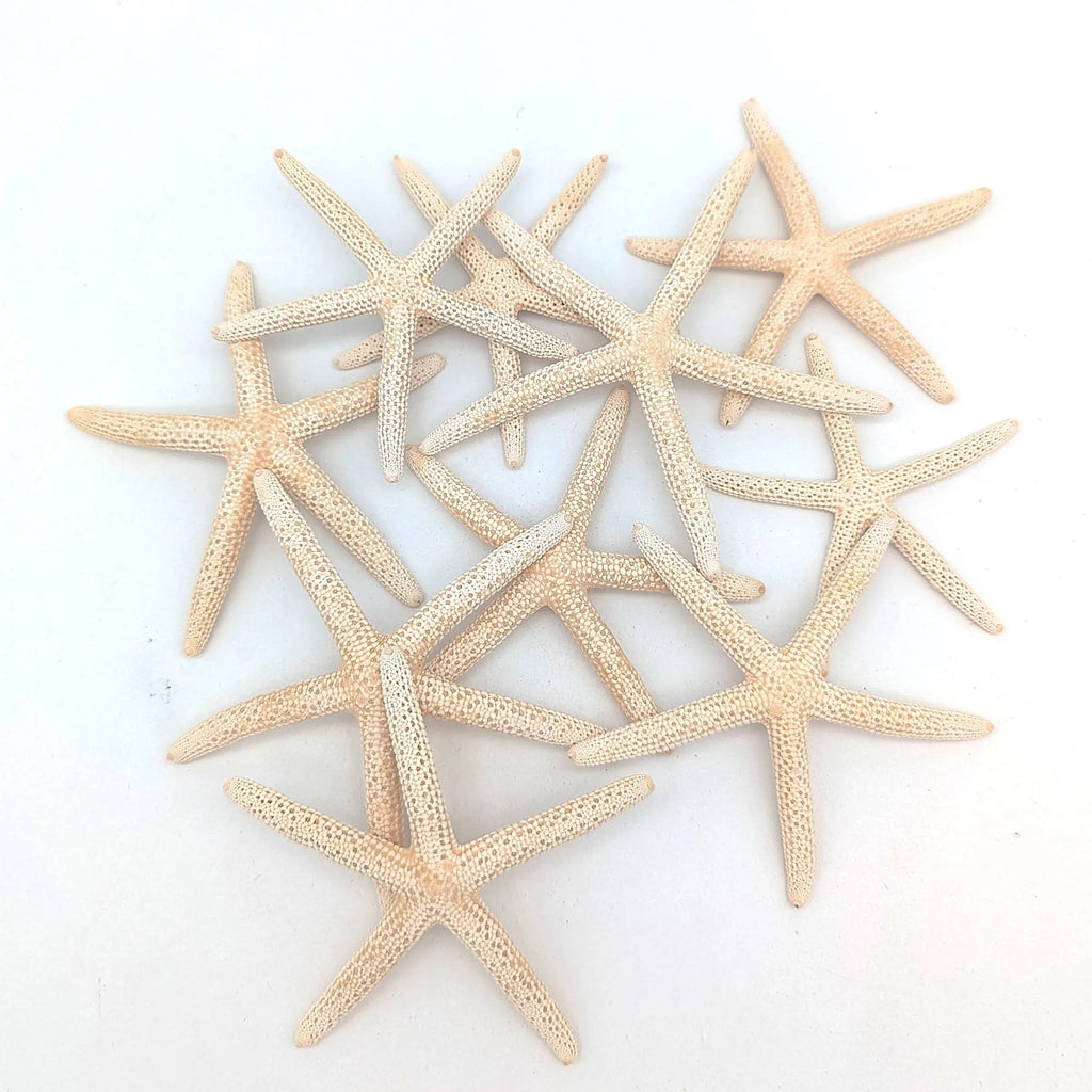 Finger Seesterne in Naturweiß – 10er Set (5–7 cm)