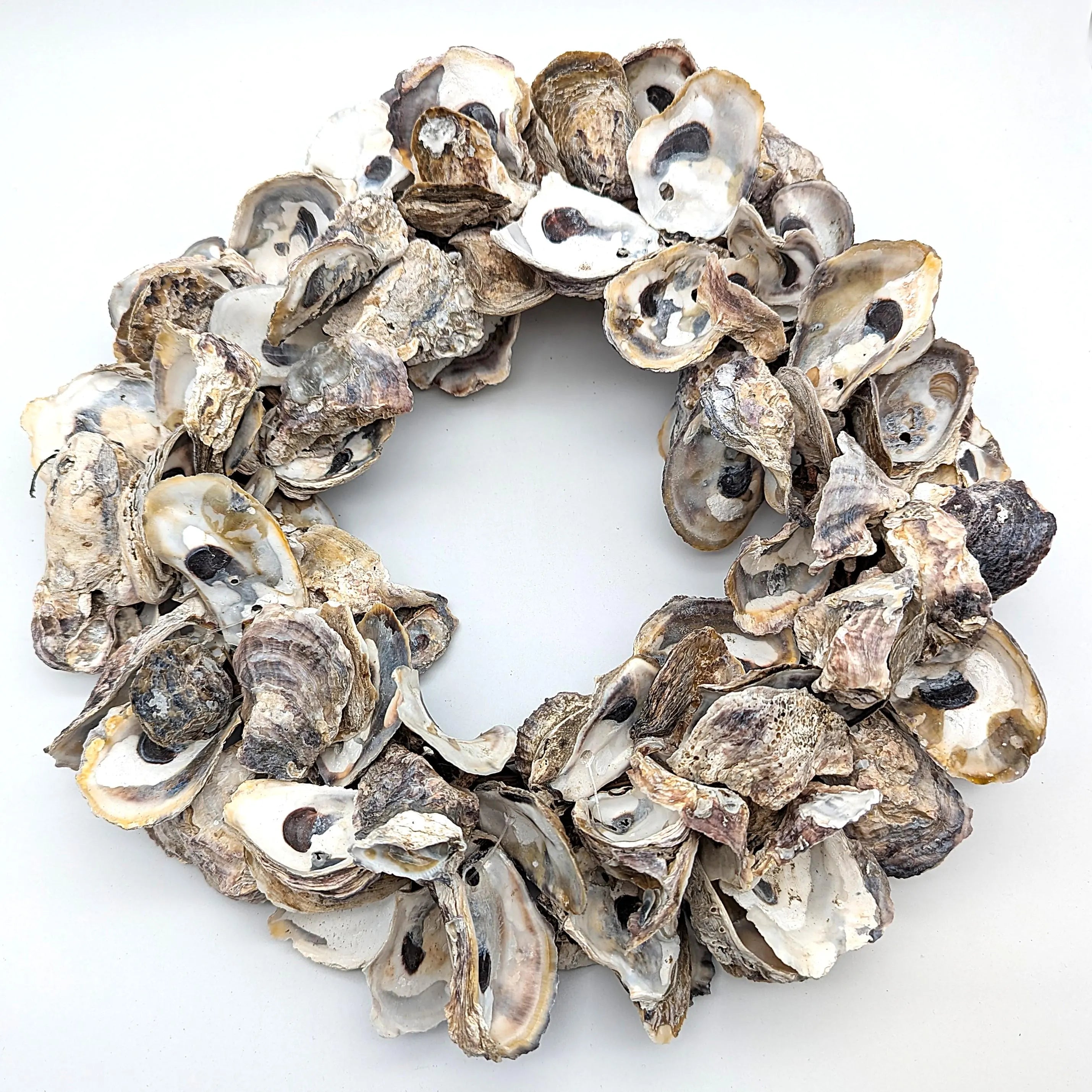 Austern Kranz Durchmesser 40 cm