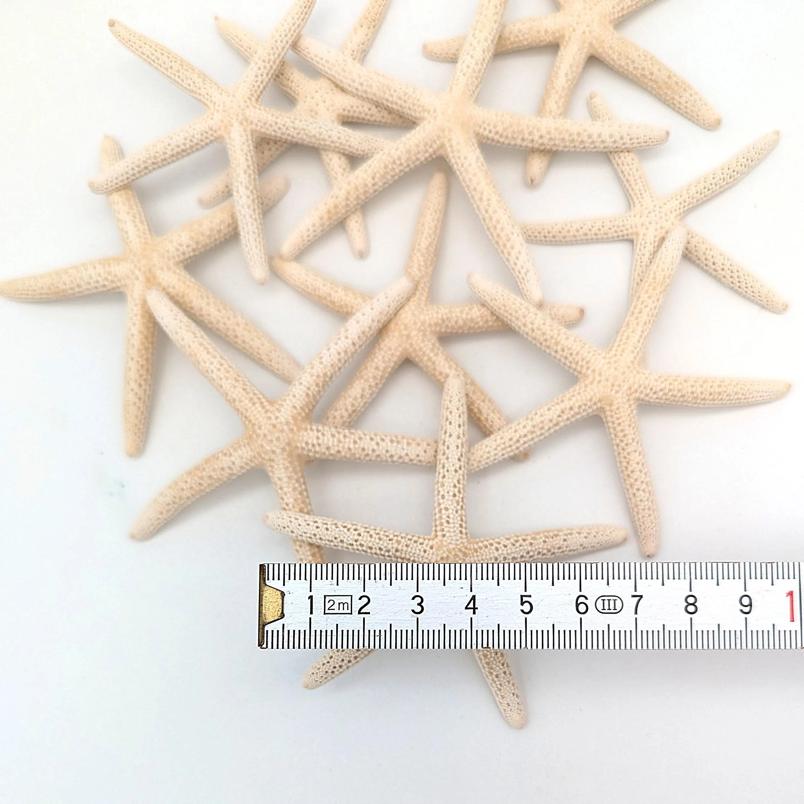 Finger Seesterne in Naturweiß – 10er Set (5–7 cm)